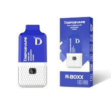 DISPOSVAPE R-BOXX Kit 3000 Puff